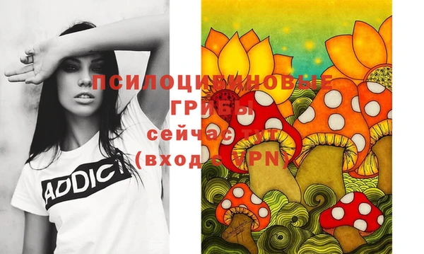 ешки Алексеевка