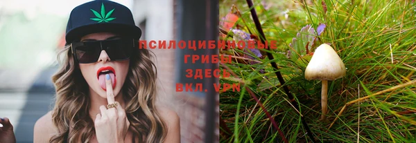 дживик Абдулино