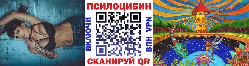 Псилоцибиновые грибы MAGIC MUSHROOMS  kraken   Опочка 