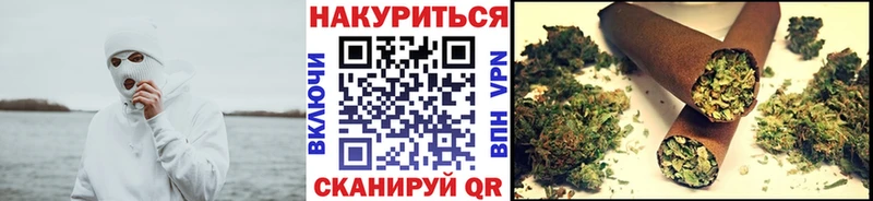Бошки Шишки MAZAR  Опочка 